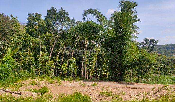 Tanah Jogja Dekat Wisata Area Bantul, Dengan View Cantik  2