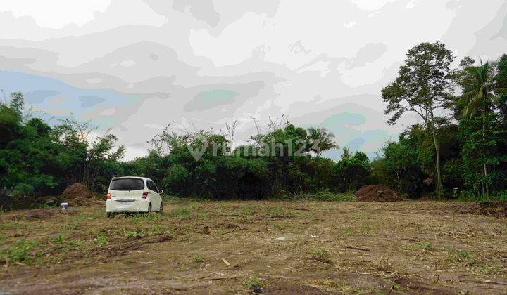 Jual Tanah Kalasan di Timur Budi Mulia Harga 1 Jutaan m 1