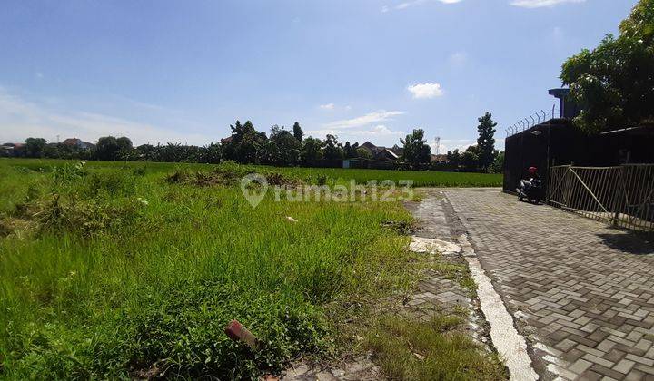 Jual Tanah Jogja Kota View Sawah Dan Merapi Dekat Rs Siloam 1