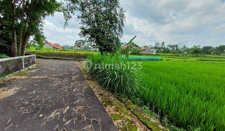 Jual Tanah Sleman Kalasan di Timur Budi Muia 1 Jutaan m 1