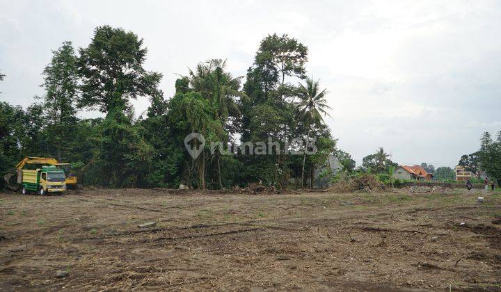 Tanah Dijual Sleman Kalasan View Sawah Mangku Aspal Shmp 2