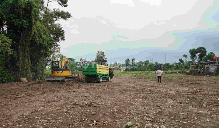 Tanah Dijual Sleman Kalasan View Sawah Mangku Aspal Shmp 1