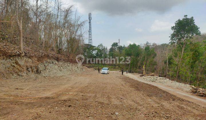 Tanah Murah Bantul, 8 Menit Hutan Pinus Pengger, SHM Pekarangan 1