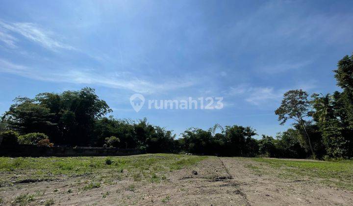 Tanah Dijual Murah Jogja, 200jt an, Shm Pekarangan, Purwomartani 2