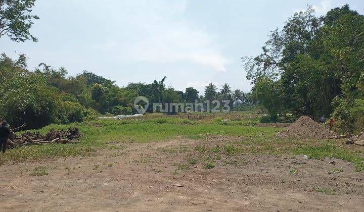 Tanah Murah Pakem, 5 Menit Rs Panti Nugroho, 200jt an Bisa Tempo 1