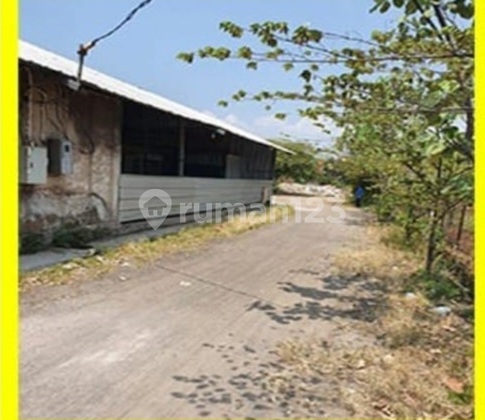 Tanah Murah Ngantong Luas 2753.0 M² SHM Mainroad Soekarno Hatta