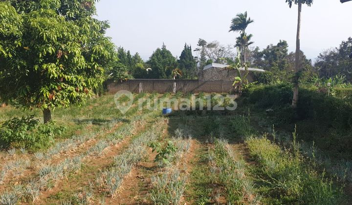 Cheap Good Wide Land 945.0 M² SHM In Katumiri Cihanjuang Cheap Good Wide Land 945.0 M² SHM In Katumiri Cihanjuang