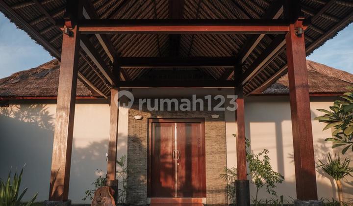 Vila Murah Aktif Di Kuta Badung 590.0 M² Shm Bali Vila Murah Aktif Di Kuta Badung 590.0 M² Shm Bali