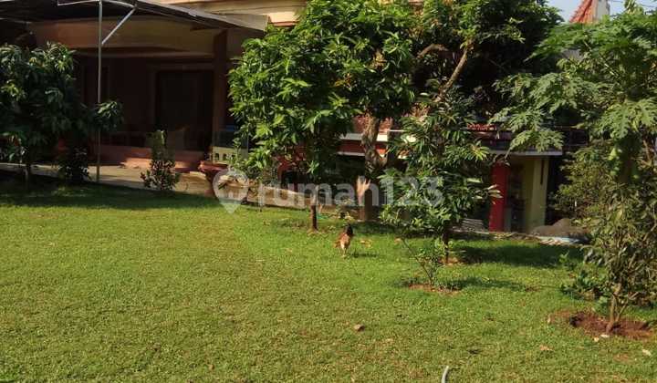 Rumah Besar Luas Banget ada Kolam Renang Komplek Benda Ciganjur Rumah Besar Luas Banget ada Kolam Renang Komplek Benda Ciganjur