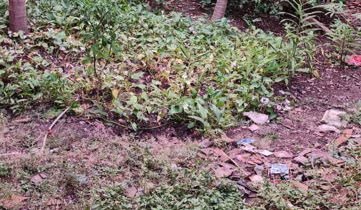 Tanah Strategis 3 Kavling Margonda Depok Tanah Strategis 3 Kavling Margonda Depok