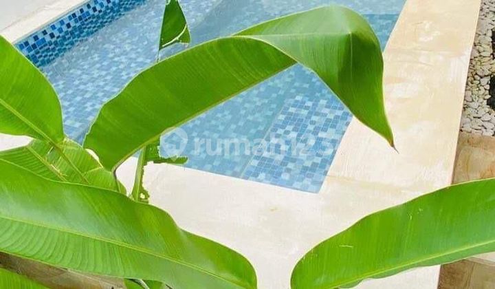 HOUSE FOR SALE AT KUTUH MURAH BAGUS DAN MENARIK