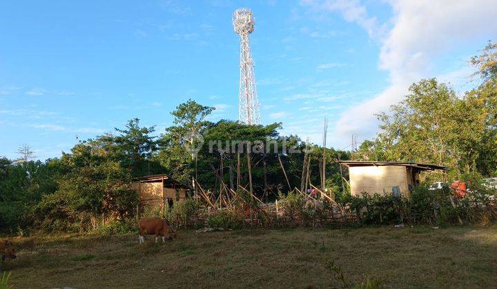 Land for rent in Ungasan, Pd 1