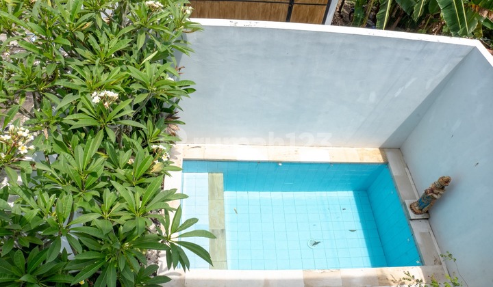 VILLA FOR RENT IN CANGGU AREA, CHEAP AND NICE AG VILLA FOR RENT IN CANGGU AREA, CHEAP AND NICE AG