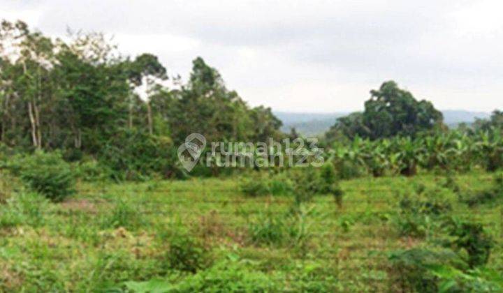 Tanah Strategis Cocok untuk Tempat Wisata di Pelaga TT 1