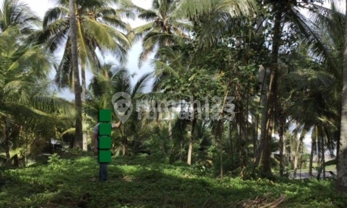 LAND FOR SALE AT GILIMANUK LAND FOR SALE AT GILIMANUK