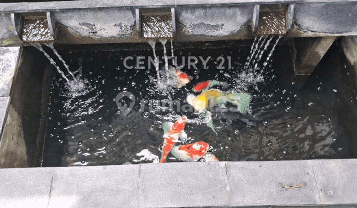 Rumah Minimalis Siap Huni Di Cluster Ifolia, Harapan Indah  2