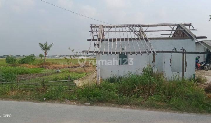 Dijual Tanah Luas di Ceger Utara, Suka Asih, Sukatani, Bekasi 2