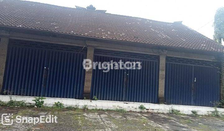 Tanah Bonus Ruko Di Jalan Utama Mengwi Bali 2