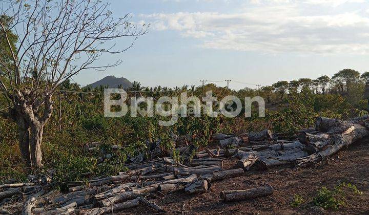 Tanah View Pantai Labuan Kertasari Sumbawa Ntb 2