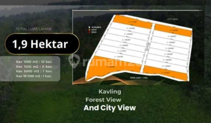 Tanah Kavling Premium Penebel Tabanan