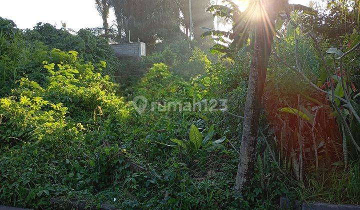 For sale 1000m2 land on the side of Jalan Sibangkaja Badung Bali 1