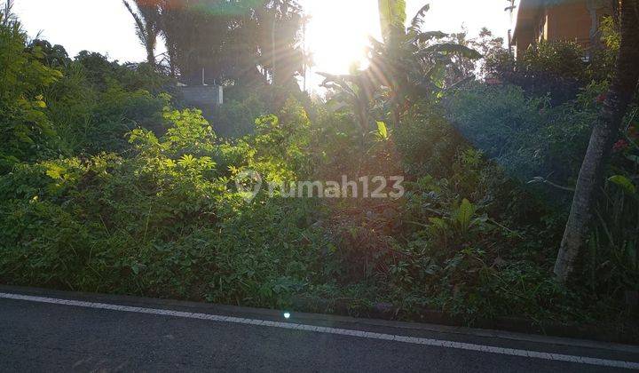 For sale 1000m2 land on the side of Jalan Sibangkaja Badung Bali 2