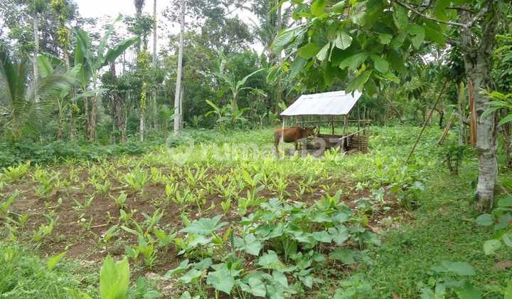 Wide Plot in Payangan Penyambangan, Gianyar Regency, Bali