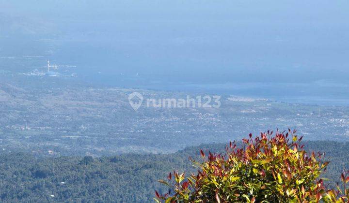 Tanah Luas Cocok Villa Atau Resto di Daerah Munduk Buleleng Bali 1