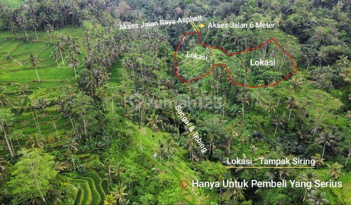 Tanah Strategos View Sawah Dan Dapat Sungai Besar di Tegal Lalang Ubud Bali 1