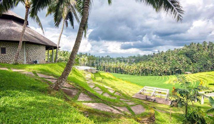 Cheap Strategic Land Bonus Resort Building in Tabanan Bali 2