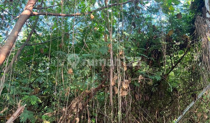 Tanah Luas Cocok Villa di Dewi Sri Badung Bali 1
