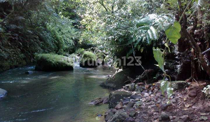 Spacious Plot of Land in Carangsari, Badung, Bali Spacious Plot of Land in Carangsari, Badung, Bali