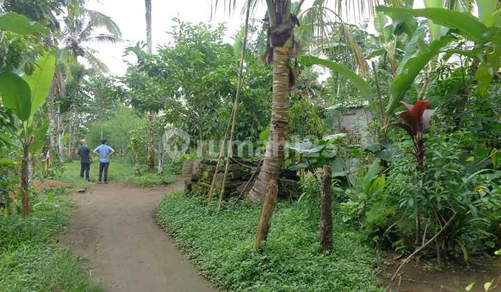 Tanah Kavling Luas Strategis di Payangan Gianyar Bali