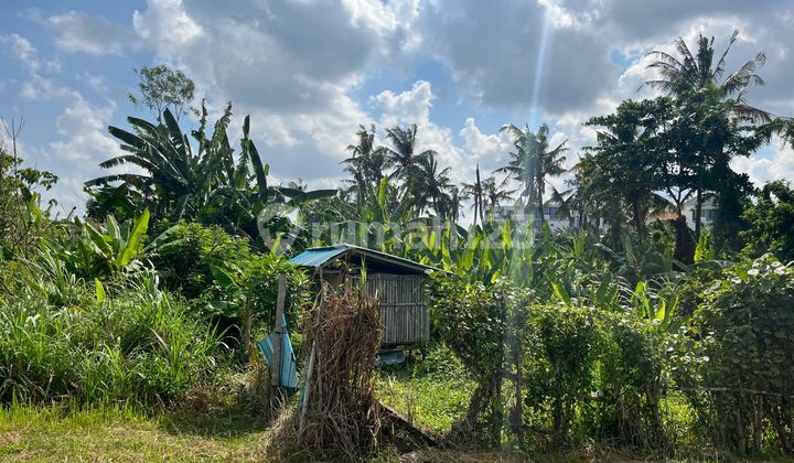 Tanah Luas Dekat Pantai di Pererenan Bali