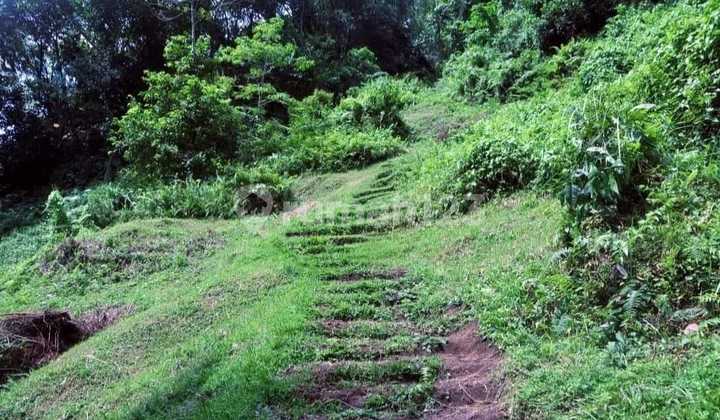 Spacious Plot with Water Source in Carangsari, Banjar Bedauh, Badung Spacious Plot with Water Source in Carangsari, Banjar Bedauh, Badung
