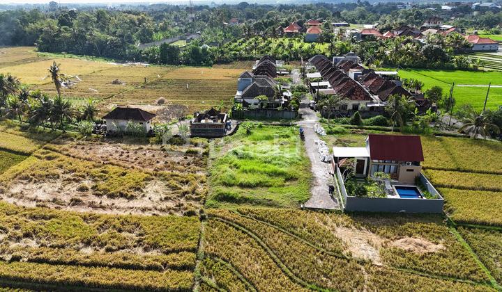 Wide Land in Yellow Zone Ready to Build in Tabanan Bali Wide Land in Yellow Zone Ready to Build in Tabanan Bali