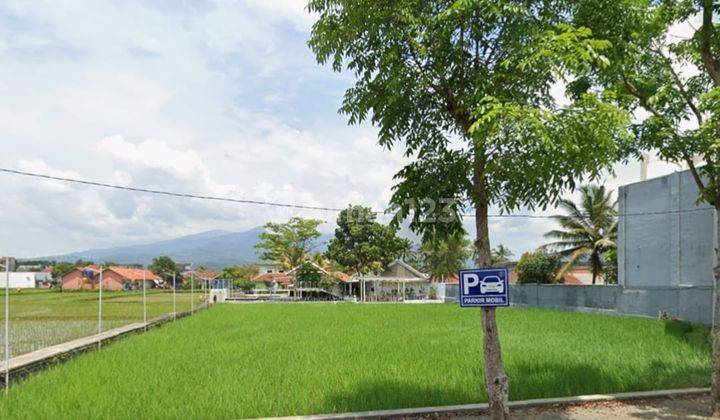 Dijual Tanah Sawah Luas Strategis di Boulevard Raya Tasikmalaya 1