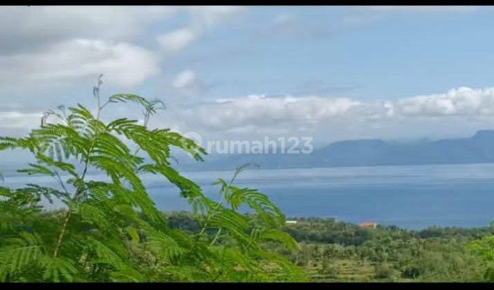 Cheap, spacious land with sea views for sale, ready to build in Nusa Penida, Bali 1