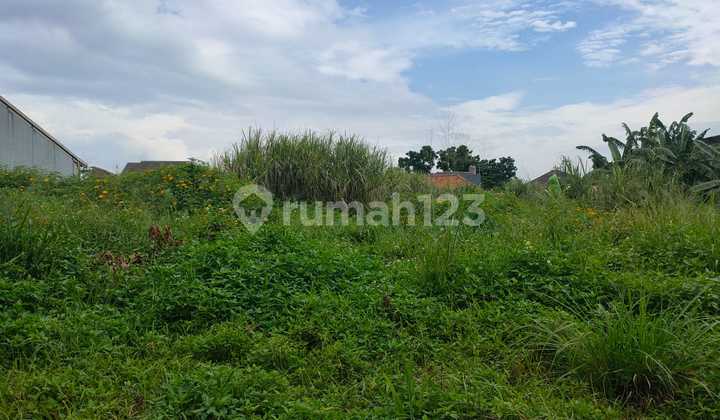 Land is large enough for solar panels, already has neighbor's approval in BKR.