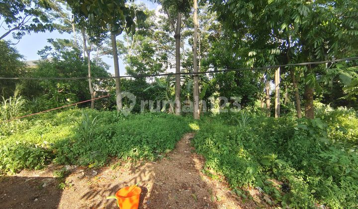 For Sale: Spacious Strategic Land Suitable for Hotel, Showroom, Office, Restaurant, Boarding Houses in the Center of Cianjur City Near Citimal Cianjur, Next to Police Station, Downslope Can Be Used for Basement, Surrounded by Residential Area in Cianjur. For Sale: Spacious Strategic Land Suitable for Hotel, Showroom, Office, Restaurant, Boarding Houses in the Center of Cianjur City Near Citimal Cianjur, Next to Police Station, Downslope Can Be Used for Basement, Surrounded by Residential Area in Cianjur.