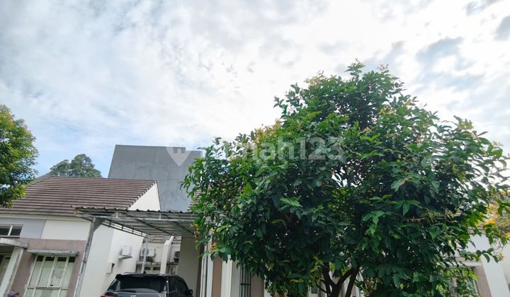 Dijual atau Sewa Rumah 1 Lantai di Cluster Dhana Suvarna Sutera Furnish