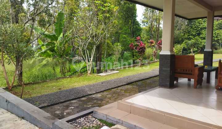 Tanah Matang Di Sindanglaya Arcamanik U/perumahan Sekolah Alam Tanah Matang Di Sindanglaya Arcamanik U/perumahan Sekolah Alam