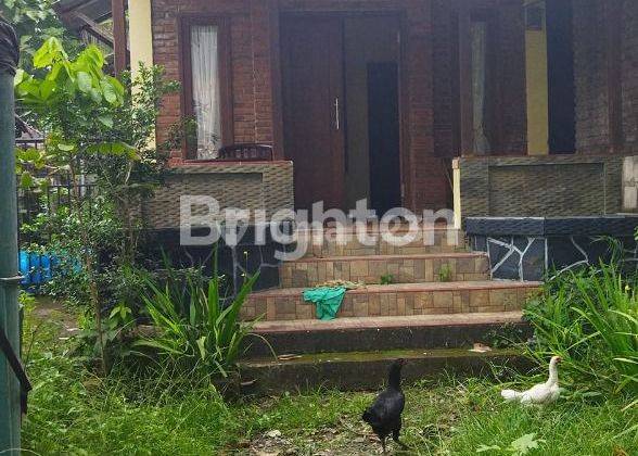 RUMAH SINGGAH PLUS RUMAH KANDANG BU BANGETTTTT, ASRI 2