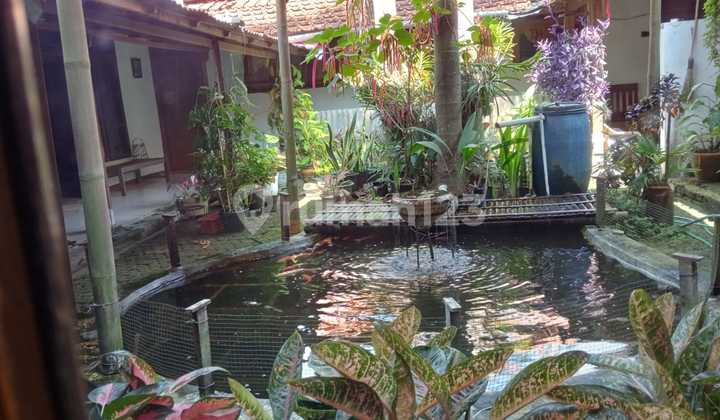 Jual Rumah Tanah Luas Di Kota Subang Shm  2