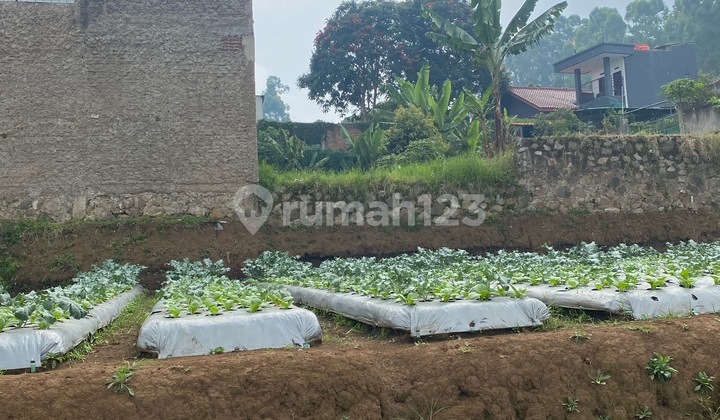 Dijual Tanah Murah Di Cigugur Ciwaruga 