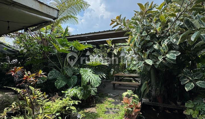 Sewa Ruang Usaha Mainroad Setiabudi Strategis 2