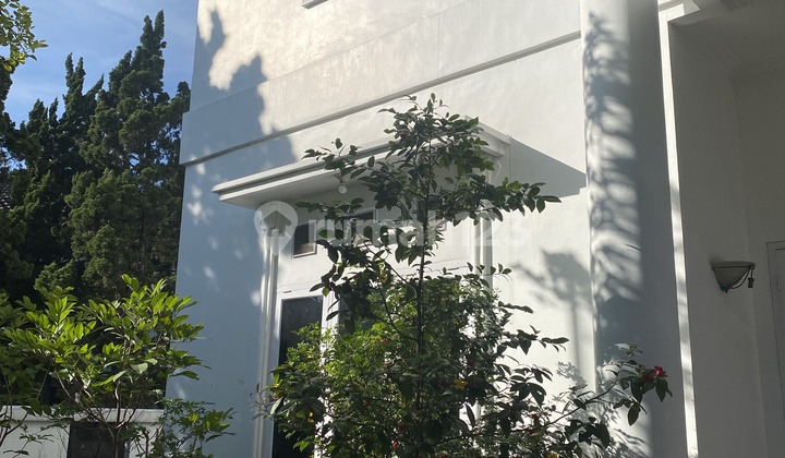 Seresetra Duta Hook Mainroad SHM