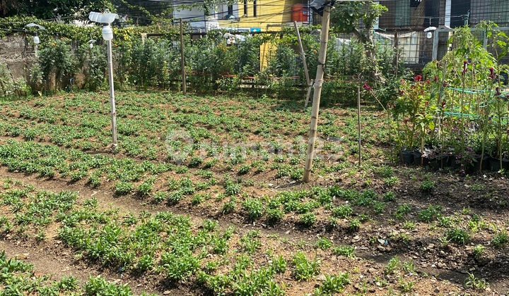 Dijual Tanah Maintoaf Cihanjuang Tanah SHM 2090.0