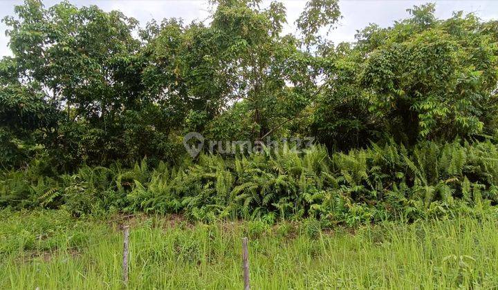 Tanah Kosong Tengah Kota Dijual di Jl. Gulama Pekanbaru 1