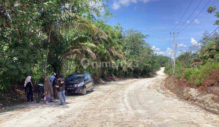 Lahan Kebun Karet Dijual di Tenanya Raya Pekanbaru 1